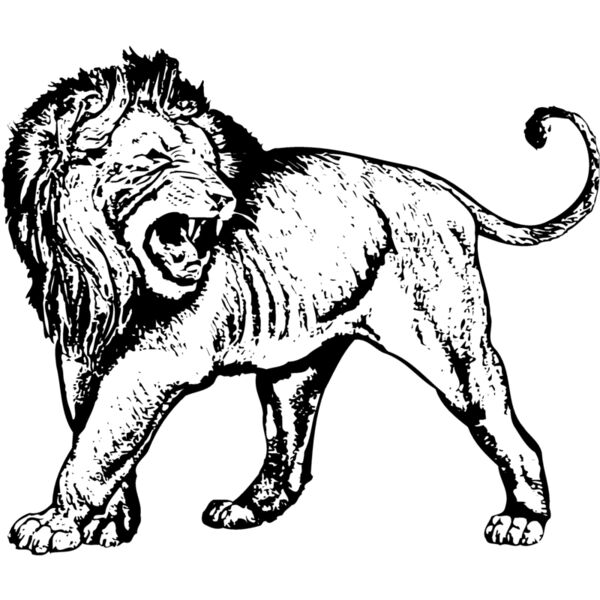 LION007 Thumbnail