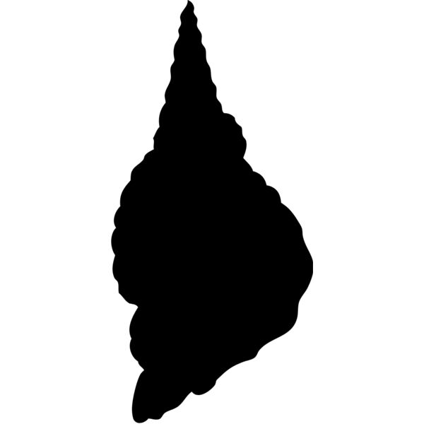 Shell Silhouette 11 Thumbnail