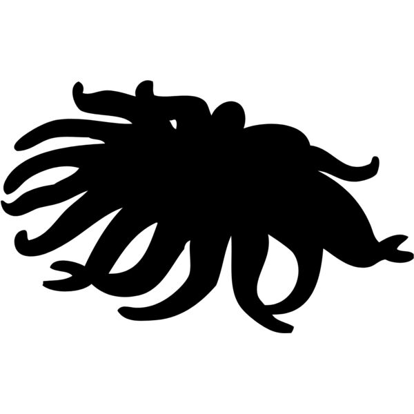Octopus Silhouette 1 Thumbnail