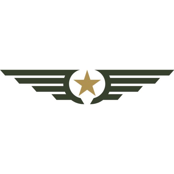 Military Star Wings Emblem 4 Thumbnail