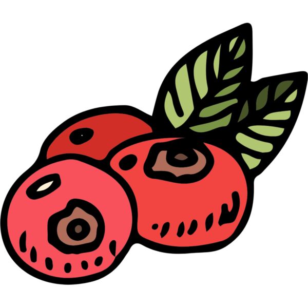 Winter Holly Berry 4 Thumbnail